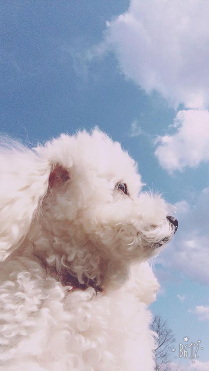 Tsubame-Ya 호텔 교토 외부 사진